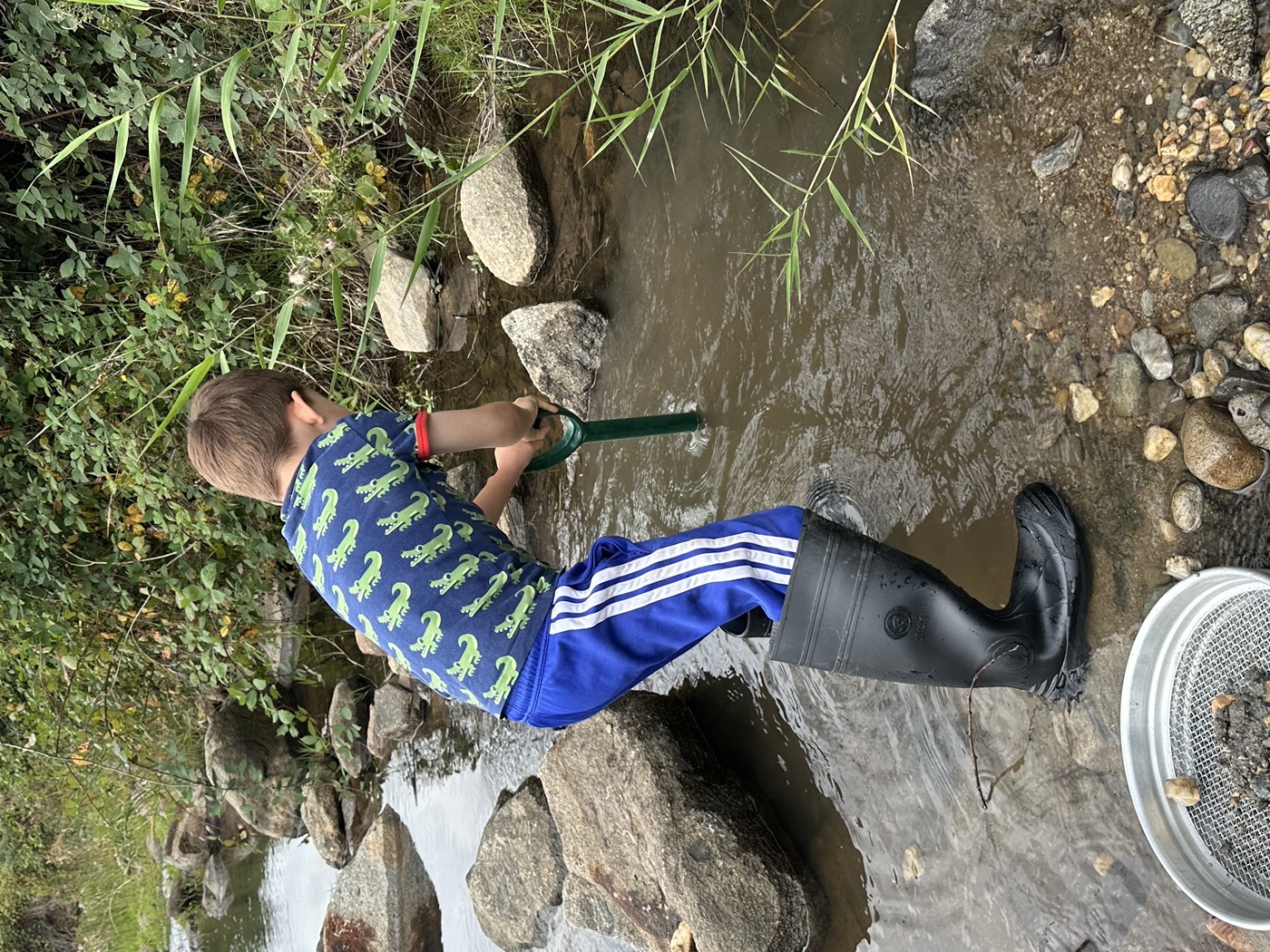 Young fossicker sieving rocks at a creek with a mesh pan